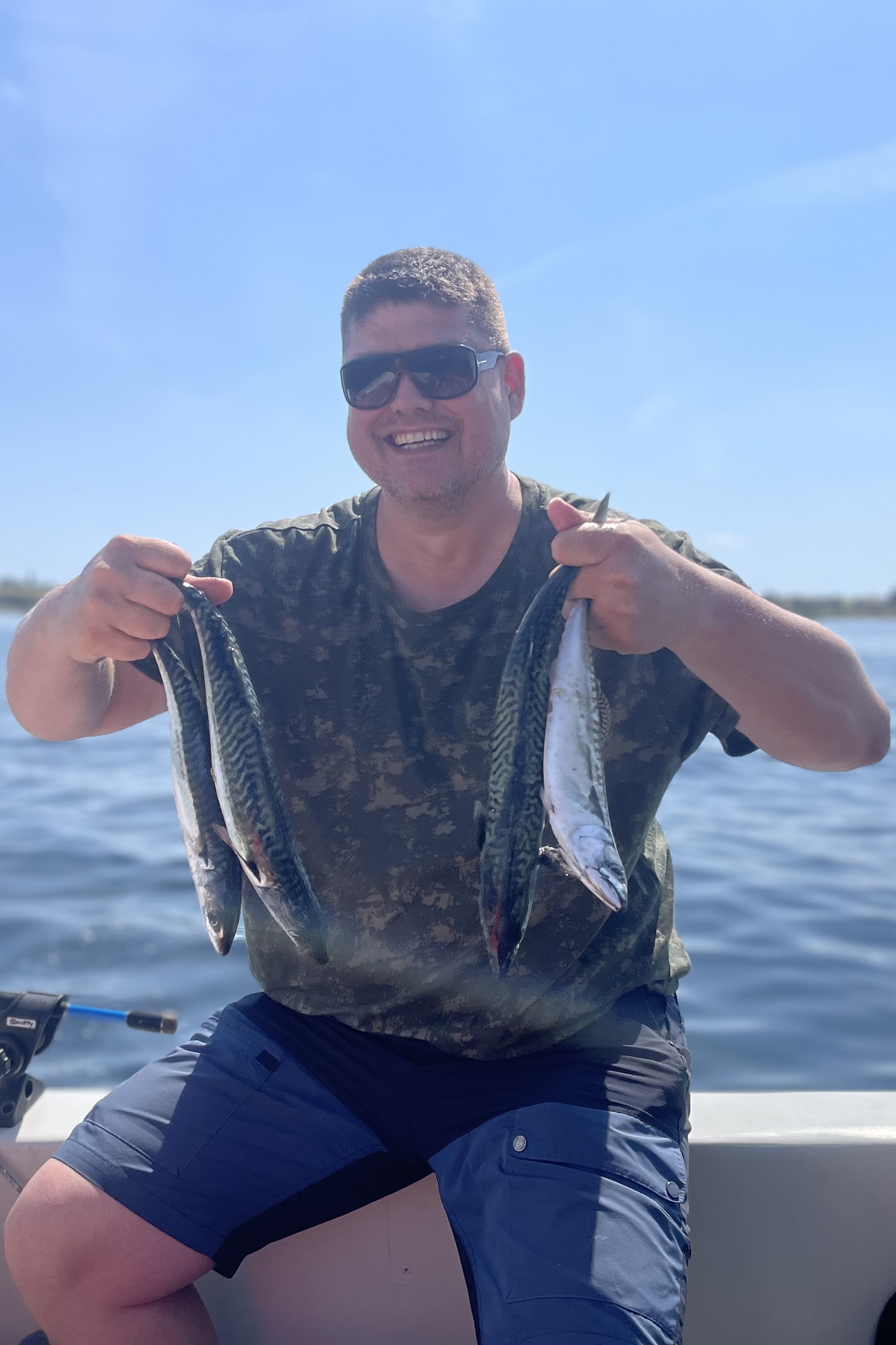 Makrel, Fladfisk