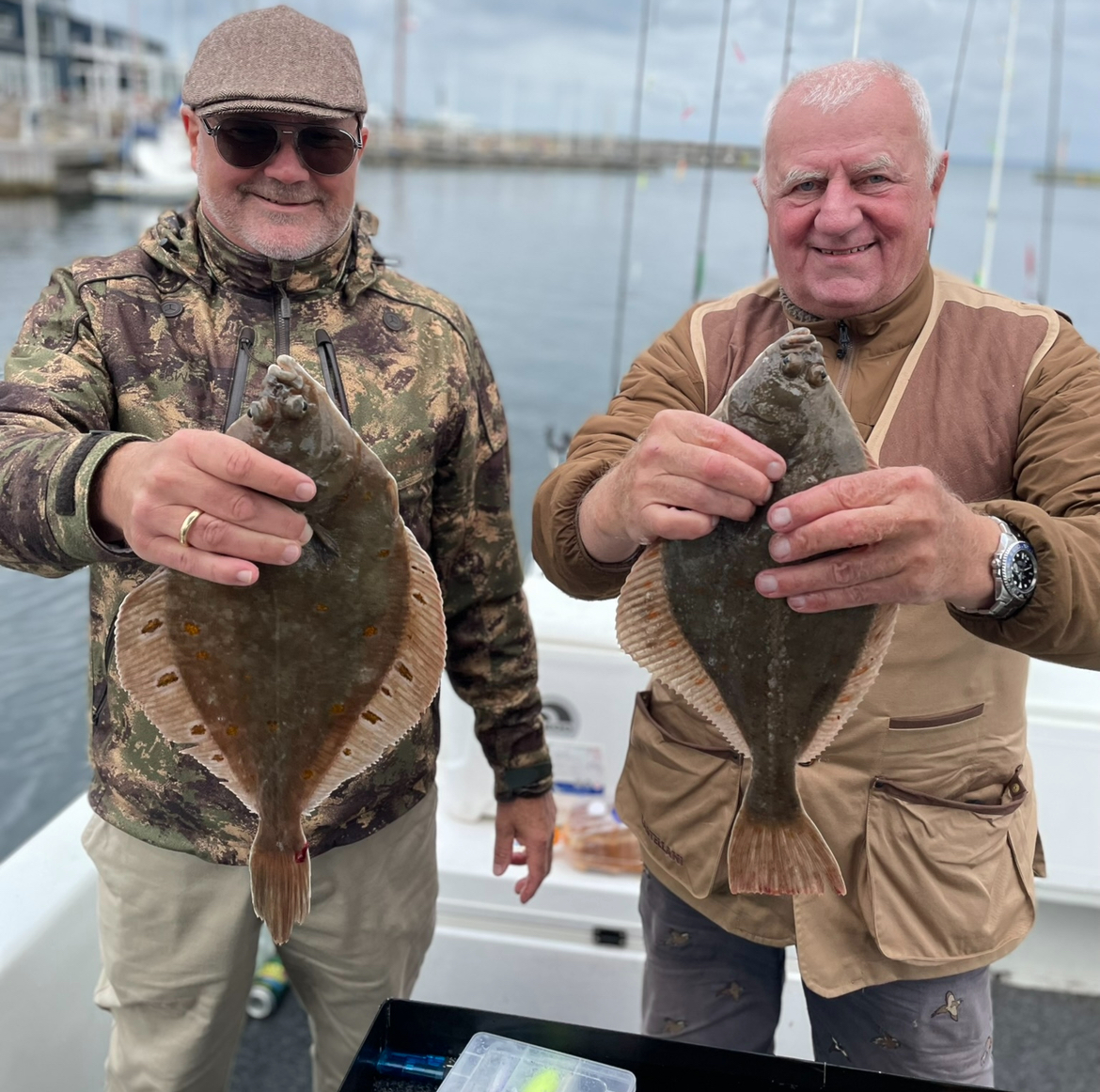 Fladfisk